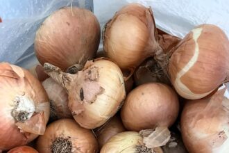 Shocked shopper receives 72 onions in a mystery Too Good To Go box from Morrisons. Tim Clarke now plans onion-based meals after his unexpected haul.
