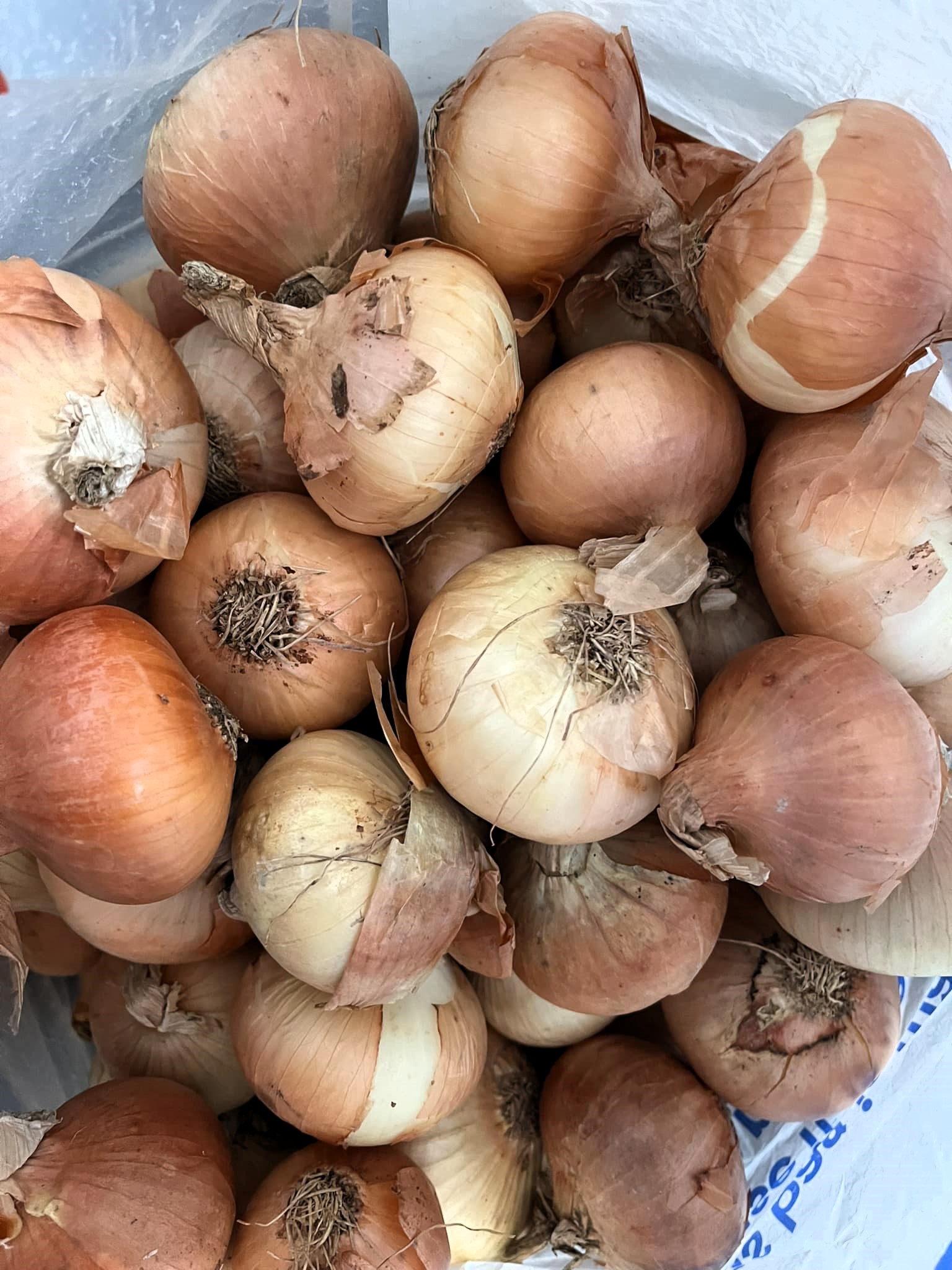 Shocked shopper receives 72 onions in a mystery Too Good To Go box from Morrisons. Tim Clarke now plans onion-based meals after his unexpected haul.