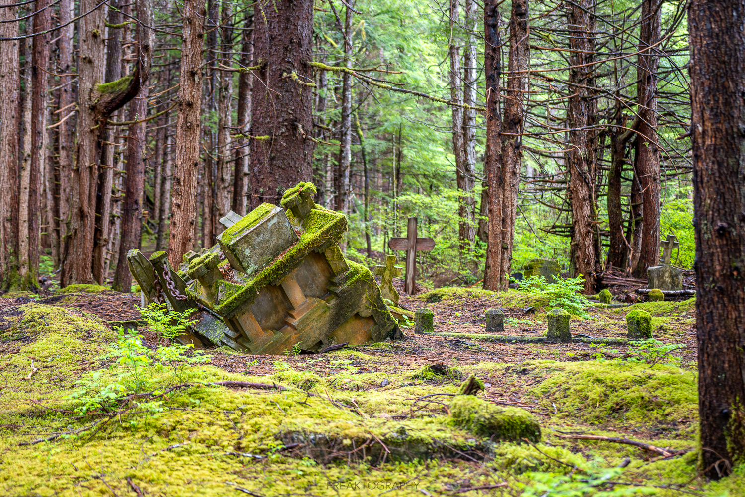Urban explorer Dave, aka Freaktography, discovers a forgotten cemetery in the ghost town of Anyox, BC, with moss-covered graves of WWI veterans and tragic deaths, sending chills down your spine.