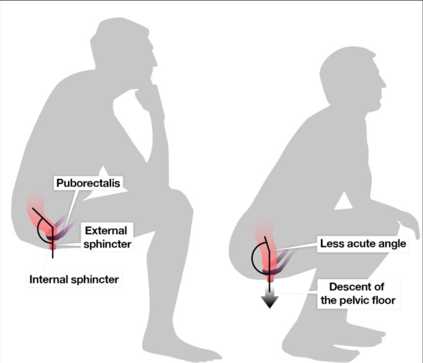 Stool company offers $1m for the perfect poo - What's The Jam