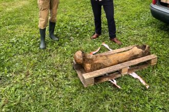 Angler in Poland discovers Ice Age mammoth bone while fishing at the Raba River. Experts confirm the find, dating back to the Pleistocene epoch. Read more about this incredible discovery.