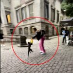 Influencer Lou Amorim was nearly robbed by a monkey in Rio de Janeiro's Parque Lage. The monkey tried to snatch her bag, causing her to scream loudly. The incident was filmed.