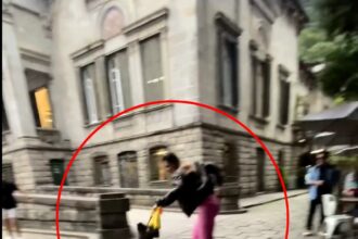 Influencer Lou Amorim was nearly robbed by a monkey in Rio de Janeiro's Parque Lage. The monkey tried to snatch her bag, causing her to scream loudly. The incident was filmed.