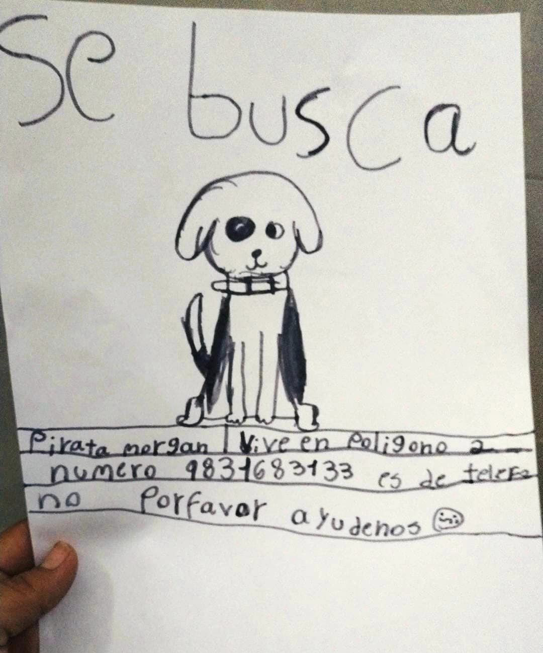 A young girl’s cute drawing led to the rescue of her gran’s missing puppy, Pirate Morgan, after an online campaign in Chetumal, Mexico, recognized the dog’s distinctive features.