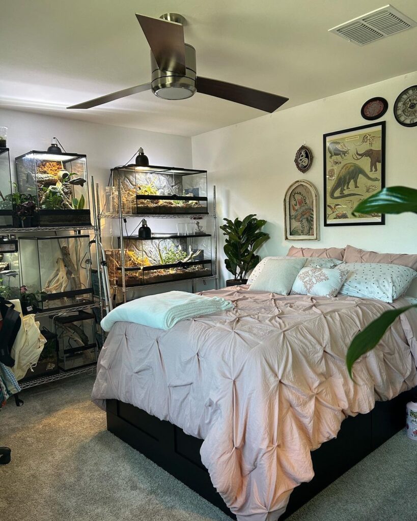 Animal lover Octavia Marlowe, 22, shares her home with over 200 exotic pets, including reptiles, birds, and arthropods. Her passion began with a bearded dragon in 2020.