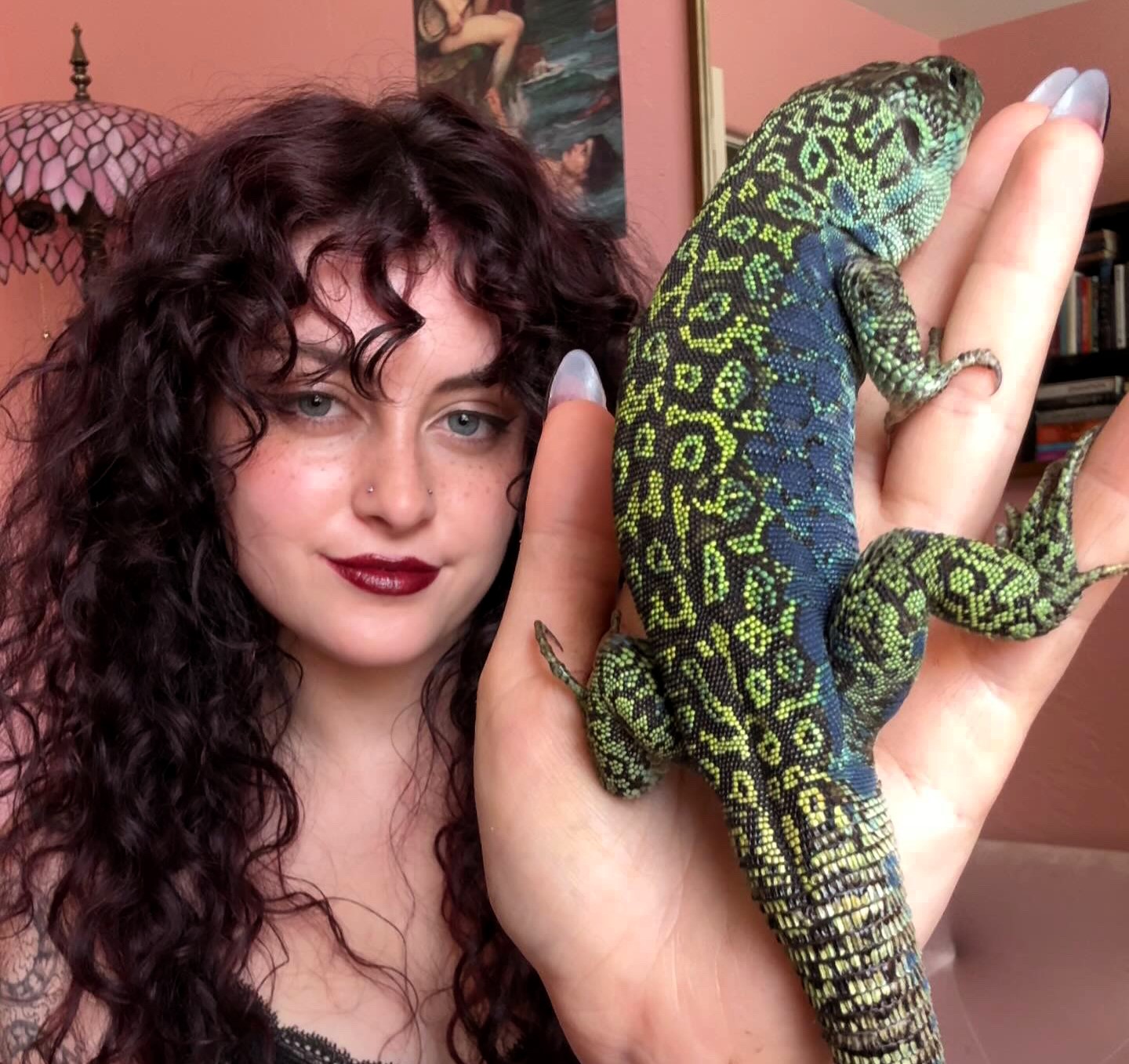 Animal lover Octavia Marlowe, 22, shares her home with over 200 exotic pets, including reptiles, birds, and arthropods. Her passion began with a bearded dragon in 2020.