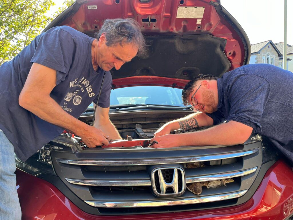 A buzzard survived a 50-mile drive stuck in a car's engine near Halwell, Devon. Rescued by local mechanics, the bird was uninjured and released back into the wild days later.