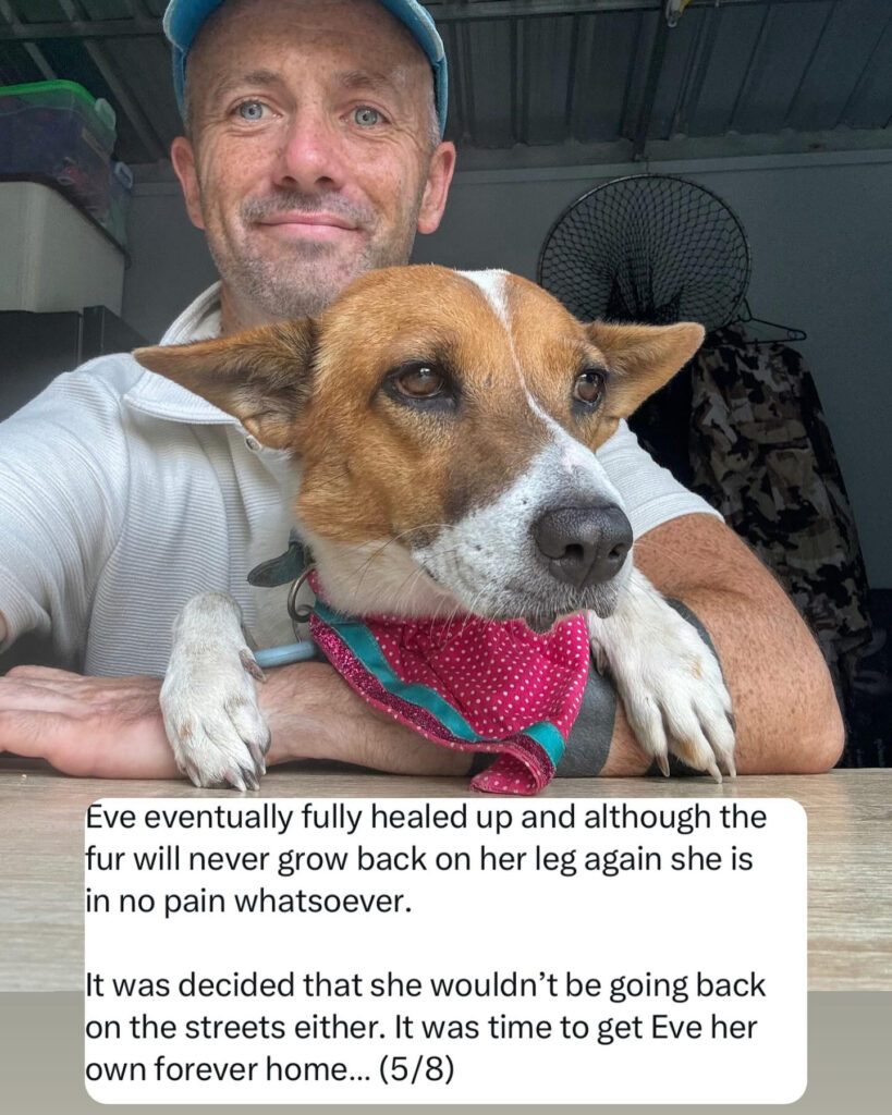 After 190 days, pup Eve finds her forever home in England after being rescued from severe burns. Her heartwarming journey from Thailand to her new life has inspired thousands.