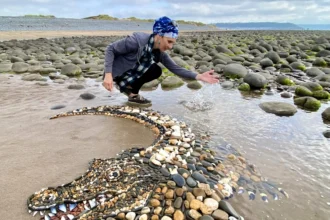 A five-foot-long alligator mosaic made from pebbles and shells by Leva and Dzindars Slare amazed beachgoers at Sandymere beach, Westward Ho!, Devon. Created in just five hours.