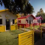 A Polish animal shelter, Fundacja ADA, wows viewers with its five-star amenities for pets, featuring dog cottages, a spa, and a cat empire, offering a luxurious recovery experience.