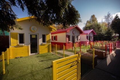 A Polish animal shelter, Fundacja ADA, wows viewers with its five-star amenities for pets, featuring dog cottages, a spa, and a cat empire, offering a luxurious recovery experience.