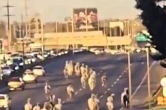 Motorists in Buenos Aires were shocked as 46 horses escaped onto the Pan-American Highway. The horses, from the Argentine Army's Mounted Grenadiers, were safely recaptured.