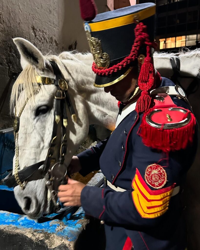 Motorists in Buenos Aires were shocked as 46 horses escaped onto the Pan-American Highway. The horses, from the Argentine Army's Mounted Grenadiers, were safely recaptured.