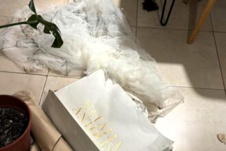 Social media users suspect a mystic dog sabotaged a bride's wedding dress. The viral post, with 4.3m views, led designer Natalia Antolín to offer a new gown just in time.