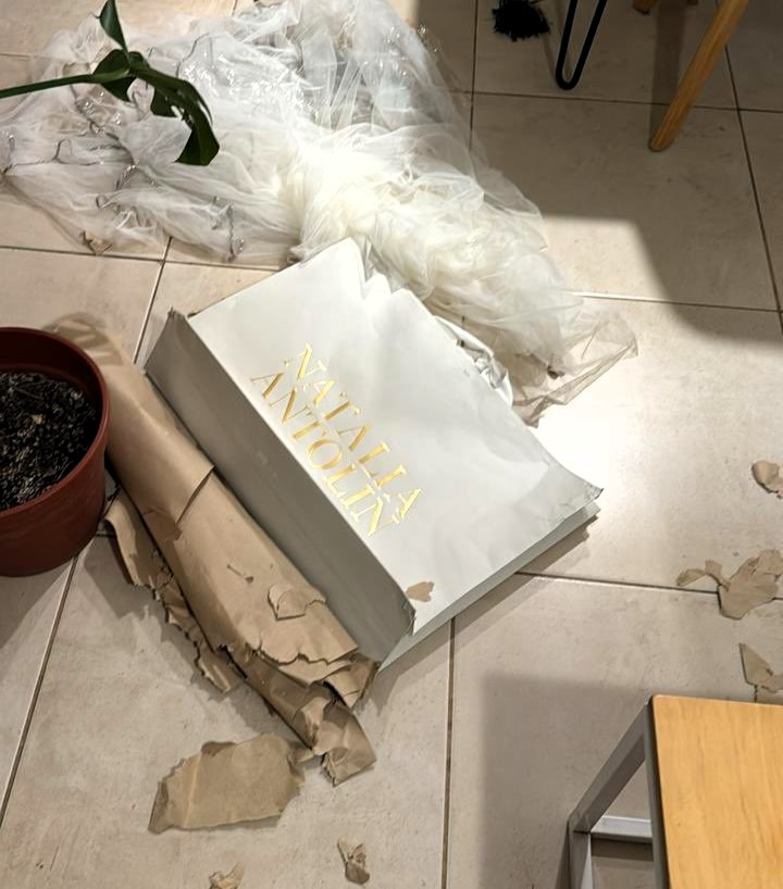 Social media users suspect a mystic dog sabotaged a bride's wedding dress. The viral post, with 4.3m views, led designer Natalia Antolín to offer a new gown just in time.