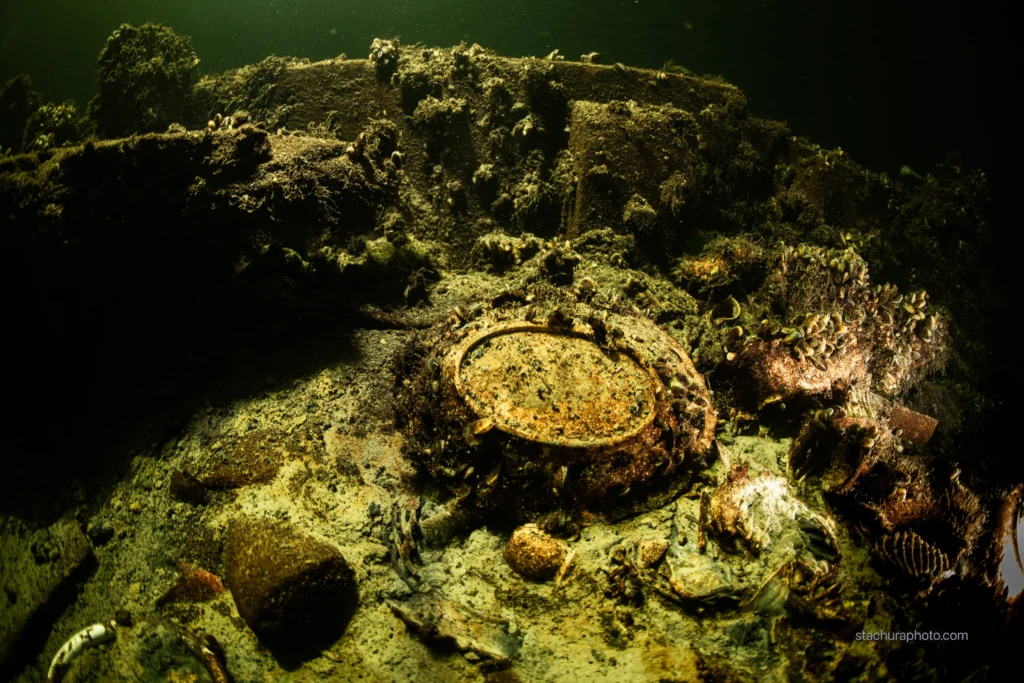 Hundreds of champagne bottles and Selters mineral water found in a 19th-century shipwreck near Öland, Sweden. Divers believe the cargo was bound for Russian Tsar Nicholas I.