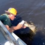 A viral video shows a man using an alligator to crack open a beer while fishing in Louisiana, garnering over 5 million views on TikTok and sparking hilarious reactions.