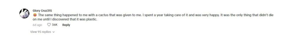 Social media comment on the post of A woman waters a plastic plant for four years before realizing it's fake, sharing her funny story on TikTok. The viral video garners 7 million views and 15,000 comments.