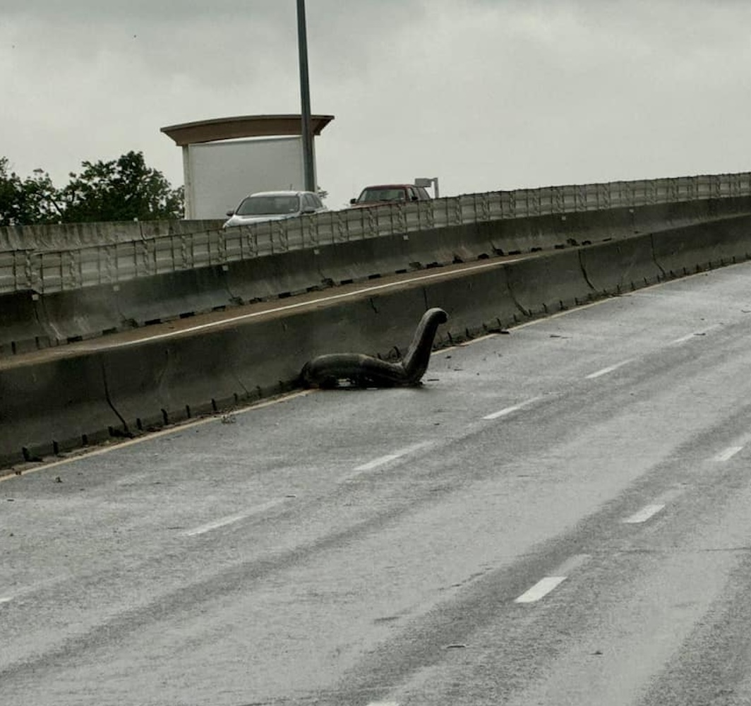 Drivers in Texas were stunned by a 'Loch Ness Monster' sighting on I-45 after Hurricane Beryl, only to discover it was a chair. The hilarious incident went viral on social media.