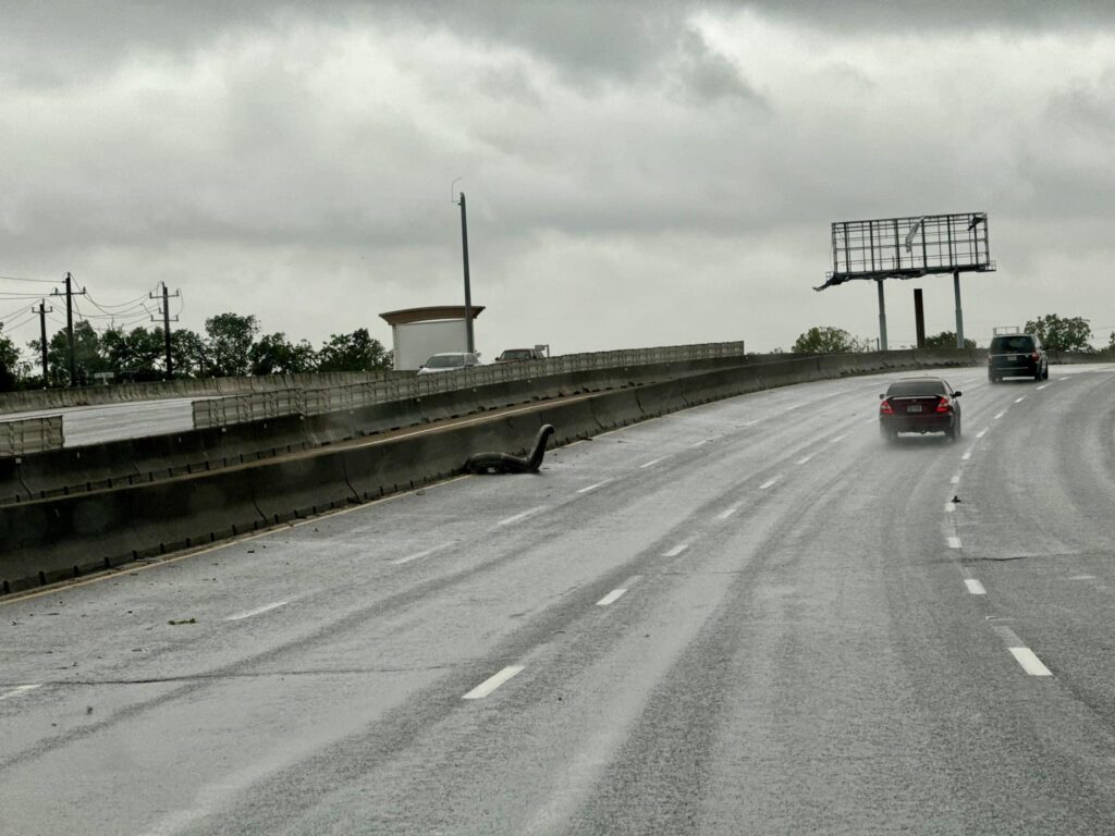 Drivers in Texas were stunned by a 'Loch Ness Monster' sighting on I-45 after Hurricane Beryl, only to discover it was a chair. The hilarious incident went viral on social media.