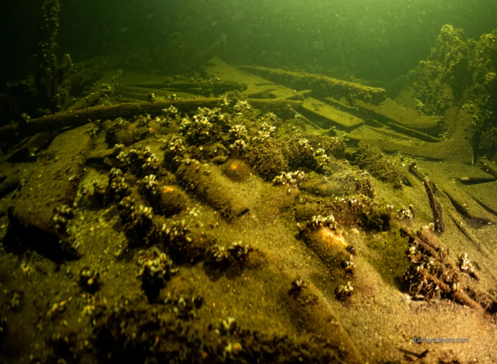 Hundreds of champagne bottles and Selters mineral water found in a 19th-century shipwreck near Öland, Sweden. Divers believe the cargo was bound for Russian Tsar Nicholas I.