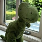 Vinted sellers are cashing in on gifts from exes, like a Jellycat toy listed for £26.95. One viral listing hilariously describes a cuddly T-Rex named Rodger needing a new home.