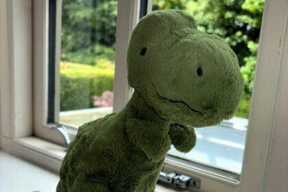 Vinted sellers are cashing in on gifts from exes, like a Jellycat toy listed for £26.95. One viral listing hilariously describes a cuddly T-Rex named Rodger needing a new home.