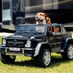 F1 star Lewis Hamilton pampers his Bulldog, Roscoe, with a £167.99 mini SUV toy, complete with a personalized number plate, sparking mixed reactions from fans.