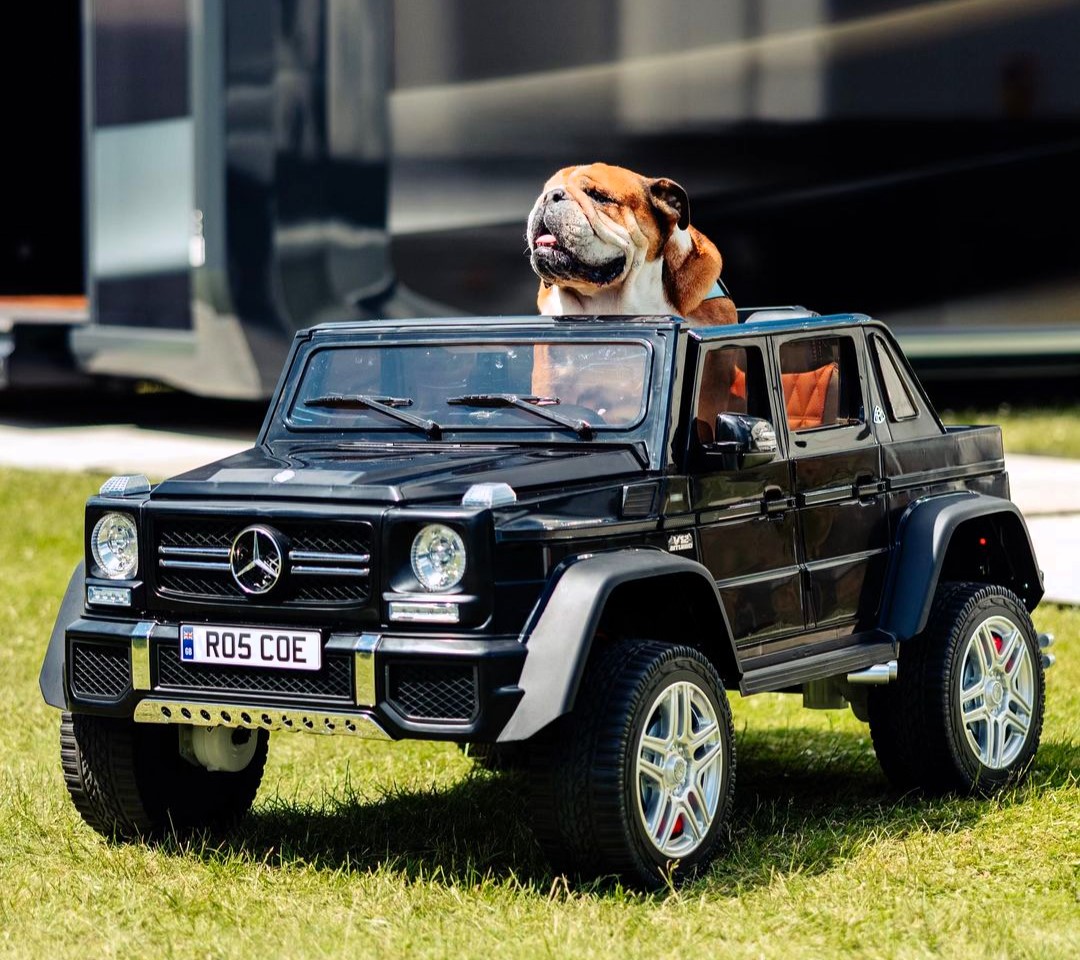 F1 star Lewis Hamilton pampers his Bulldog, Roscoe, with a £167.99 mini SUV toy, complete with a personalized number plate, sparking mixed reactions from fans.