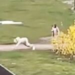 A furry was seen being walked in a park in Lubawa, Poland, with their 'owner' also in costume. The bizarre scene, filmed near flats, sparked local comments and debate.