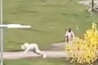 A furry was seen being walked in a park in Lubawa, Poland, with their 'owner' also in costume. The bizarre scene, filmed near flats, sparked local comments and debate.