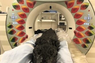 A 3,000-year-old mummified crocodile with its last meal, a baited hook, lodged in its stomach, has been X-rayed in Manchester. Discovered in Birmingham, it reveals ancient Egyptian rituals.