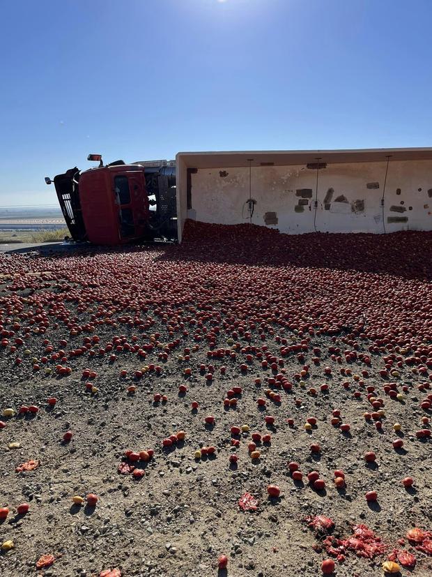 An overturned lorry spilled thousands of tomatoes on Interstate 5 in California, causing a juicy traffic mess. The highway reopened after hours of cleaning up the saucy spill.