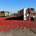 An overturned lorry spilled thousands of tomatoes on Interstate 5 in California, causing a juicy traffic mess. The highway reopened after hours of cleaning up the saucy spill.