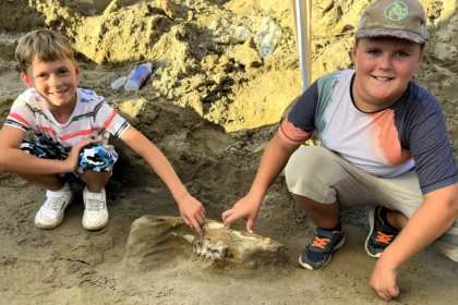 Two young brothers discovered the skeletons of prehistoric giant elephants in Munich. Named 'Big Alex' and 'Little Consti,' these fossils belong to the extinct Deinotherium giganteum.