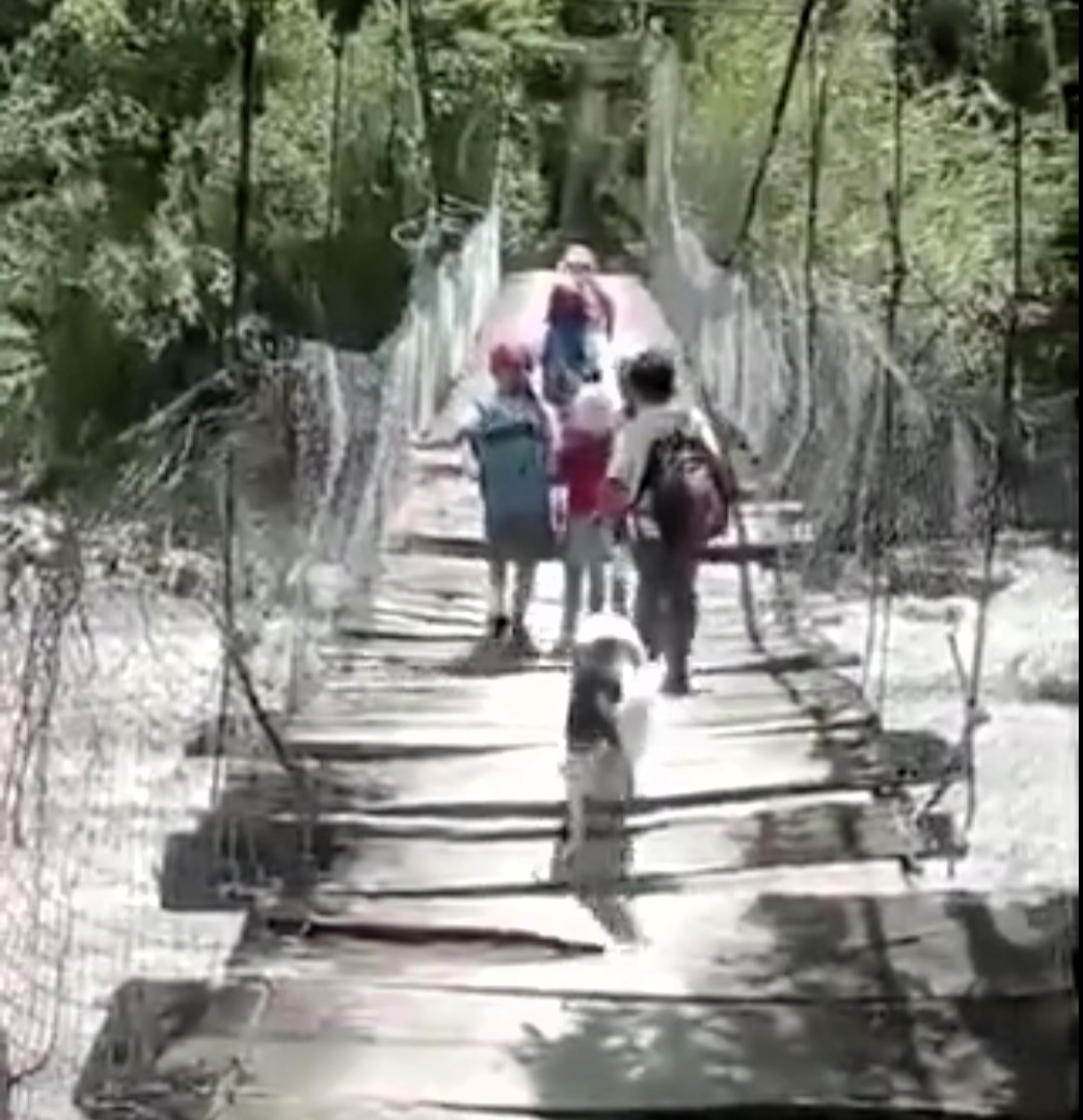 Pupils in Buraga, Colombia, cross a rickety suspension bridge over a crocodile-infested river daily to reach school, while others in Molagavita use a dangerous zipline across the Chicamocha River.