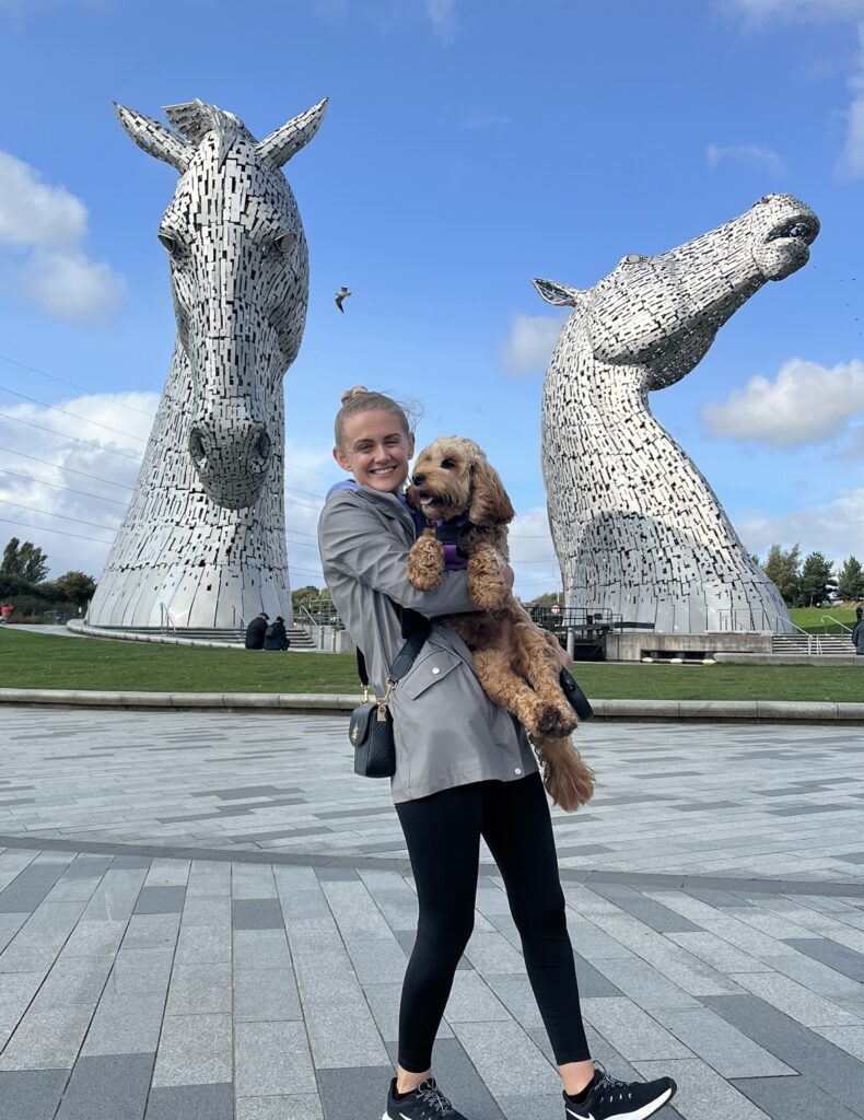 A puppy survived a car crash thanks to a doggy seatbelt. Chloe Arbuckle's cockapoo, Daisy, was saved from serious injury, highlighting the importance of pet restraints in cars.