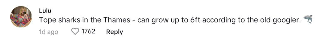 Social media comment on the post of Shocked Londoner captures footage of a tope shark swimming in the River Thames near Hammersmith Bridge. The critically endangered shark species can grow up to 6ft 3in.