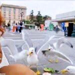 Twitch streamer JustKeth attacked by seagulls while livestreaming in Venice. Showing off her ham sandwich, she was swarmed by birds, creating a viral and hilarious moment.