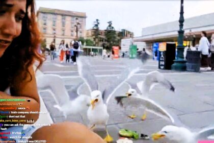 Twitch streamer JustKeth attacked by seagulls while livestreaming in Venice. Showing off her ham sandwich, she was swarmed by birds, creating a viral and hilarious moment.