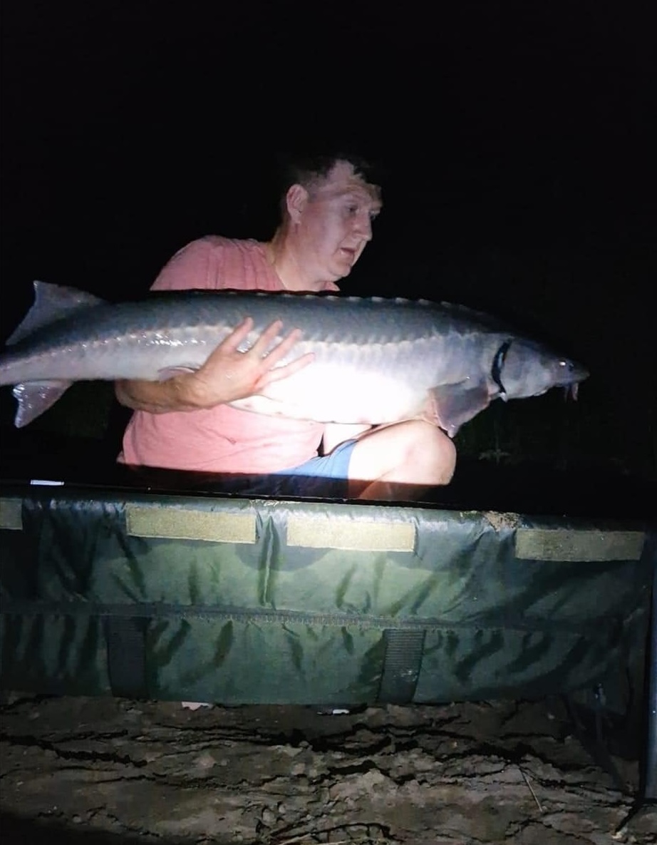 Angler Dave Howarth, 43, catches a 48lb sturgeon in the River Trent, despite the species being thought extinct in Britain. This rare catch revives hope for UK sturgeon.