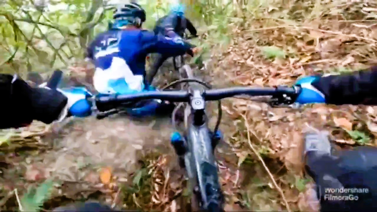 A group of cyclists in Bogotá, Colombia, was attacked by a swarm of bees on a mountain trail, resulting in multiple stings and a frantic escape. All were treated for their injuries.