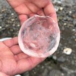 Thousands of moon jellyfish, capable of nasty stings, invaded Broadsands Beach in Ilfracombe, Devon. Paddleboarder Saira Franklin had to abandon her session due to the swarm.