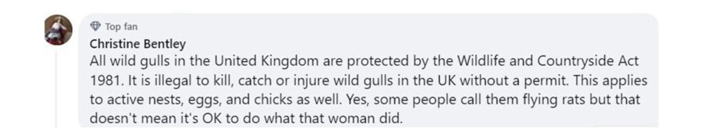 Social media comment on the post of Locals outraged as a woman on a mobility scooter deliberately runs over seagulls in Paignton, Devon. Witnesses report her cackling after hitting the protected birds.