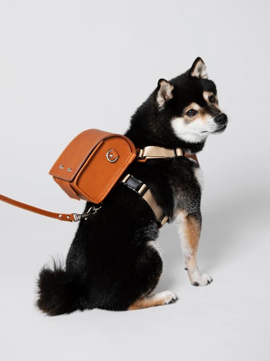 Luxury designer Tsuchiya Kaban offers dog randoseru backpacks for £294. Crafted from high-quality leather, these stylish, firm-sided bags are perfect for small dogs and currently sold out.