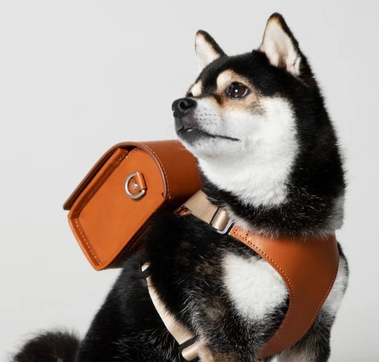 Luxury designer Tsuchiya Kaban offers dog randoseru backpacks for £294. Crafted from high-quality leather, these stylish, firm-sided bags are perfect for small dogs and currently sold out.