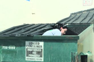 Dumpster diving mom Tiffany Butler uncovers a stash of brand-new New Balance trainers, highlighting her resourceful finds and success in turning trash into treasure.
