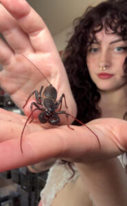 ‘I have more than 200 exotic pets and even SLEEP next to my reptiles
