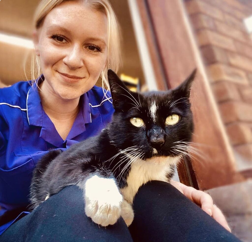 Staff at Kenwyn Care Home in Cornwall reunite missing cat with owners after months. Nine-year-old Diamond found 11 miles from home, bringing joy to all involved.