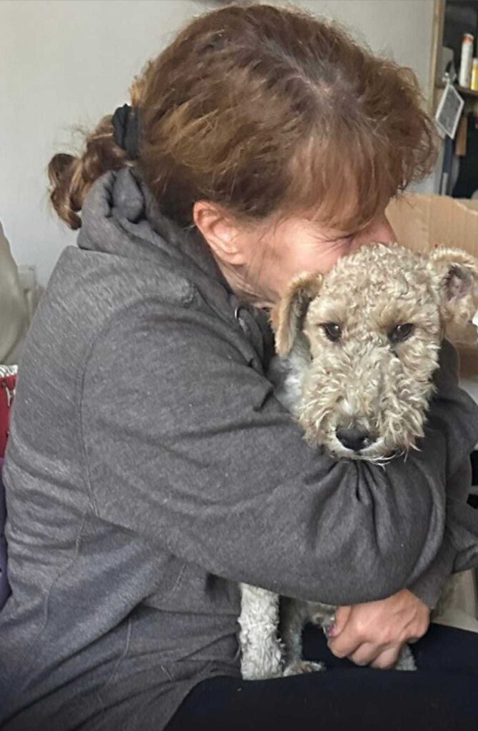 S Club star Jo O’Meara helps reunite a couple with their lost dog Snoopy, who miraculously returned home after three days. The emotional reunion followed a social media campaign.